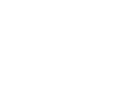 bcg-logo